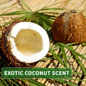 Olio da massaggio aroma Cocco