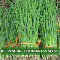 Sapone liquido tailandese al citronella con estratto di riso