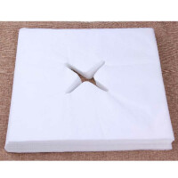 Naso fessura panno faccia igiene 200 pz. 40 x 40 cm