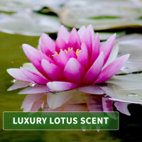 Olio da massaggio aroma Thai Loto 1000ml