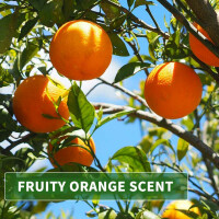 Massage Oil Aroma Orange 250ml