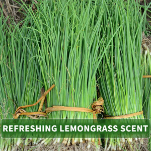 Massage Oil Aroma Lemongrass 500ml